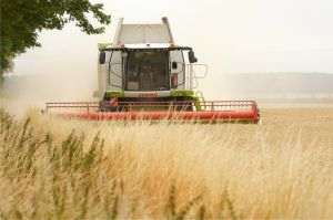 TradeVille: O paralelă economico-financiară între Agroland Business Systems şi DN Agrar